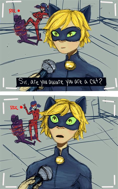 chat noir rule 34|Cat Noir Rule 34 Porn Videos